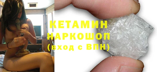 гидра Гатчина