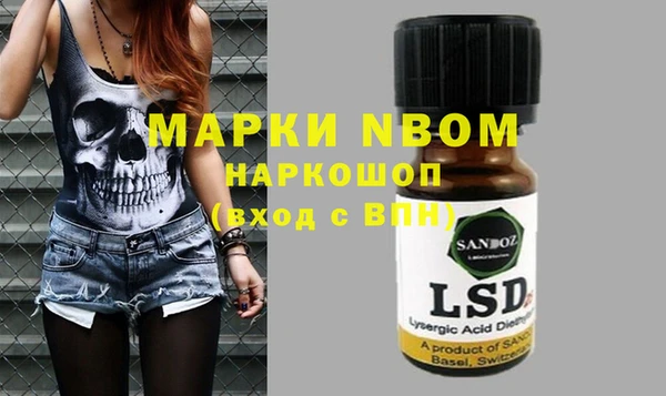 хмурый Алексин
