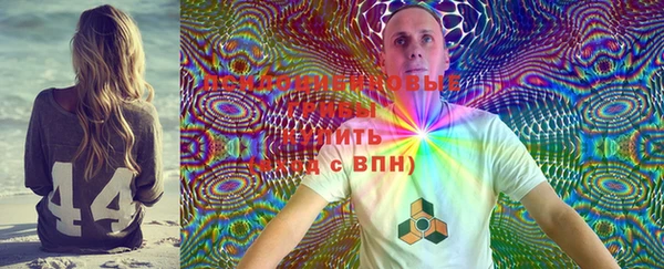 хмурый Алексин